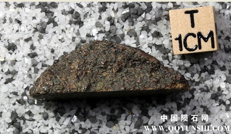 tm1301-D.jpg