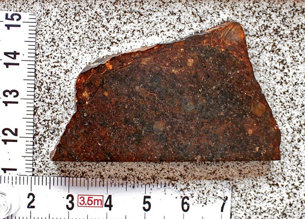 tm1220-A.jpg