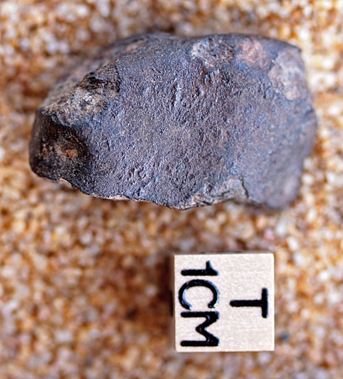 tm1284-C.jpg