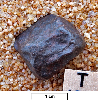 tm1286-C.jpg