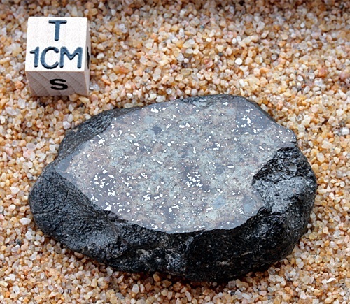 tm1282-C.jpg