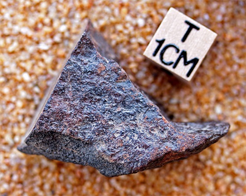 tm1288-A.jpg