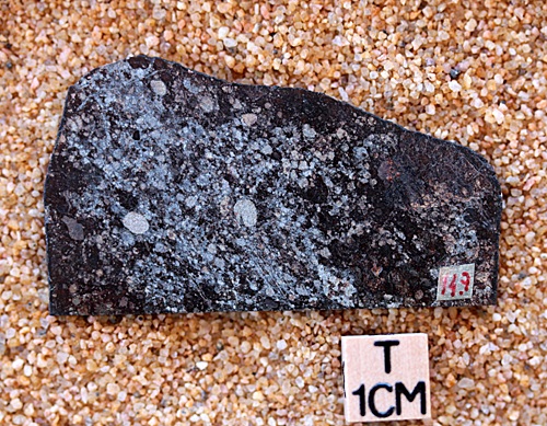 tm1270-B.jpg