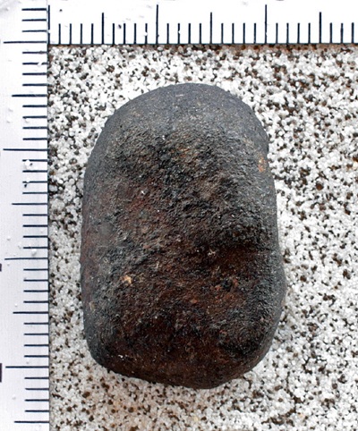 tm1223-B.jpg