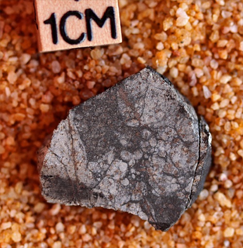 tm1287-A.jpg
