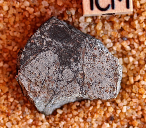 tm1287-B.jpg