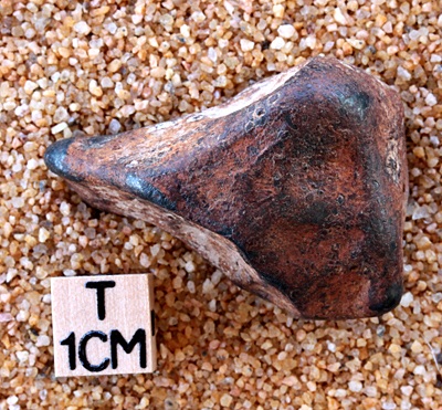 tm1231-A.jpg