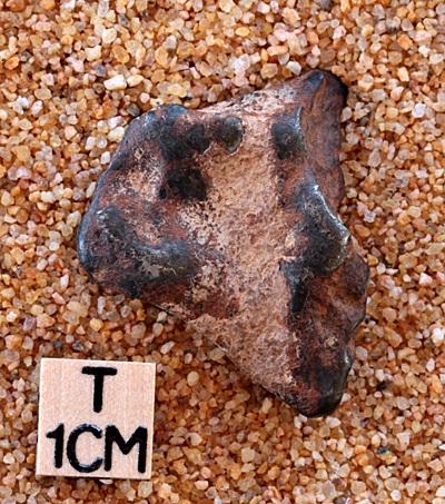 tm1232-A.jpg