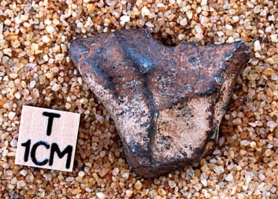tm1232-B.jpg