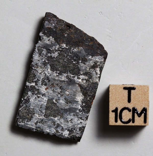 tm1308-B.jpg