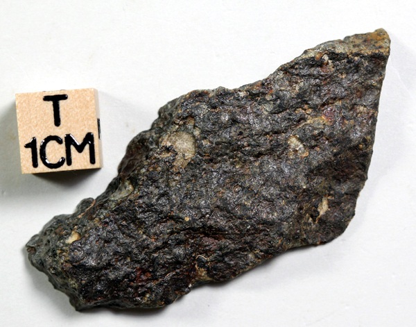 tm1311-B.jpg