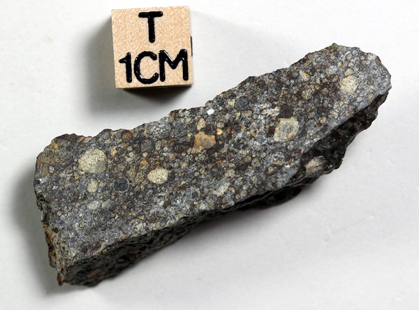 tm1312-A.jpg