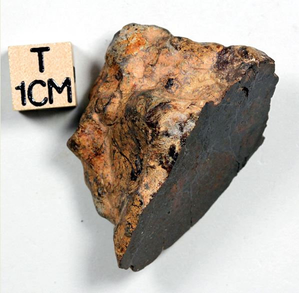 tm1316-C.jpg