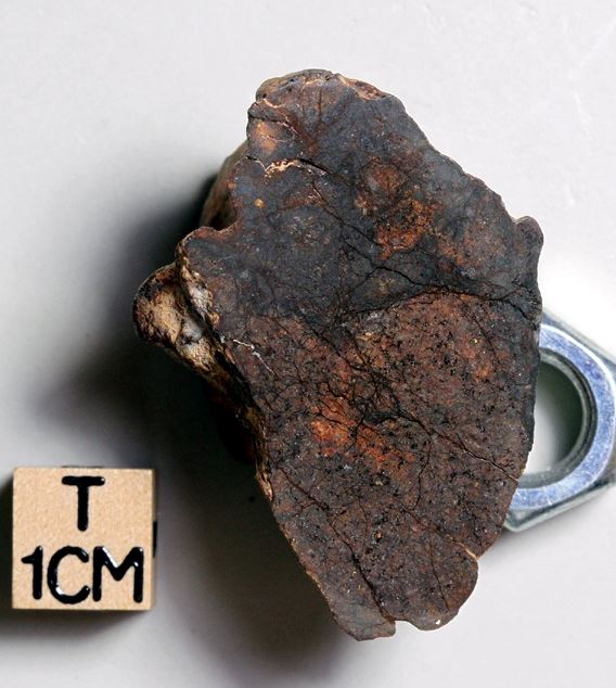 tm1316-A.jpg