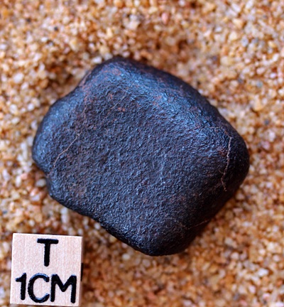 tm1259-A.jpg