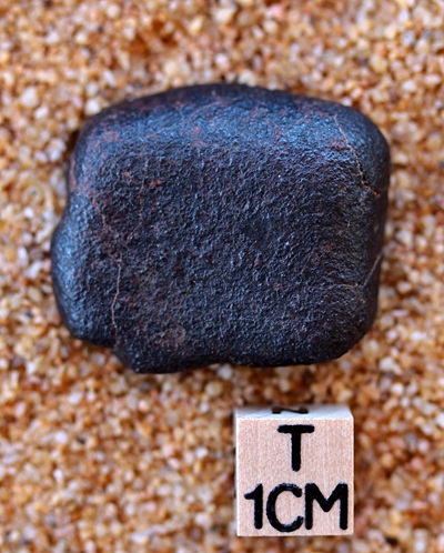 tm1259-B.jpg