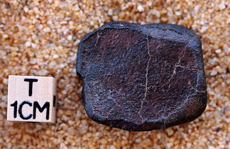 tm1259-C.jpg