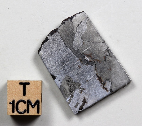 tm1307-A.jpg