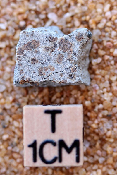 tm1264-A.jpg