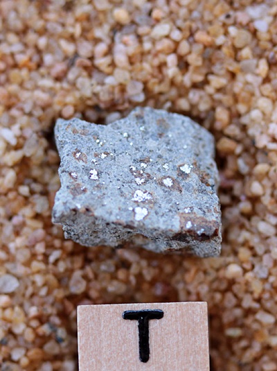 tm1264-C.jpg
