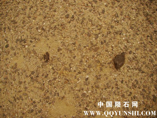 001oKqpVzy6H1HVo3QM04&amp;690.jpg