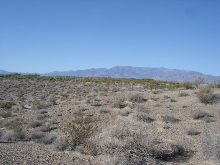 StumpStewart-001.jpg