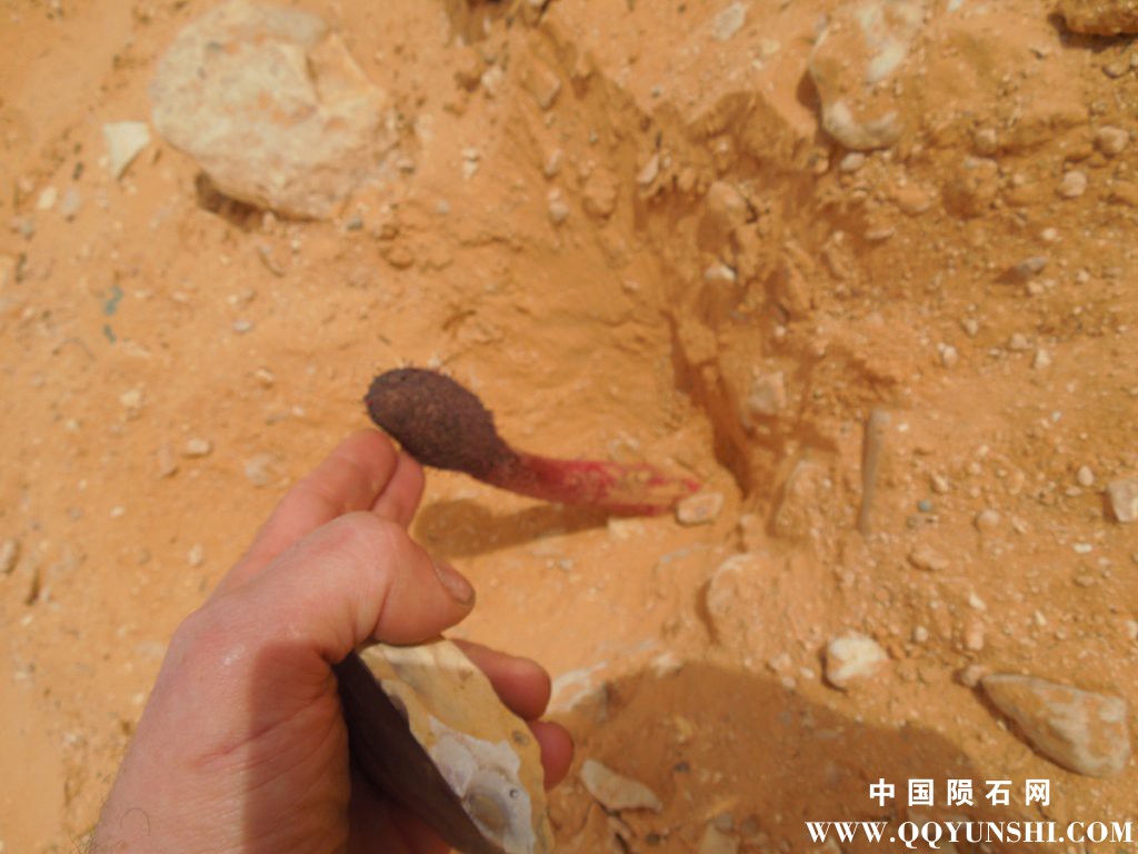 dscn2078.jpg