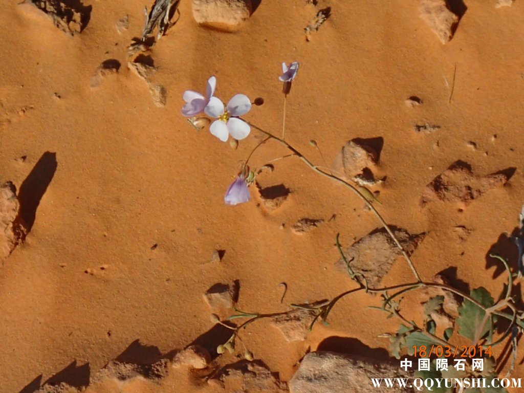 p3180249.jpg