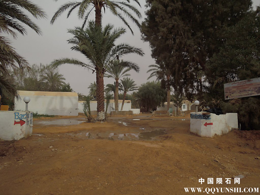 dscn2290.jpg