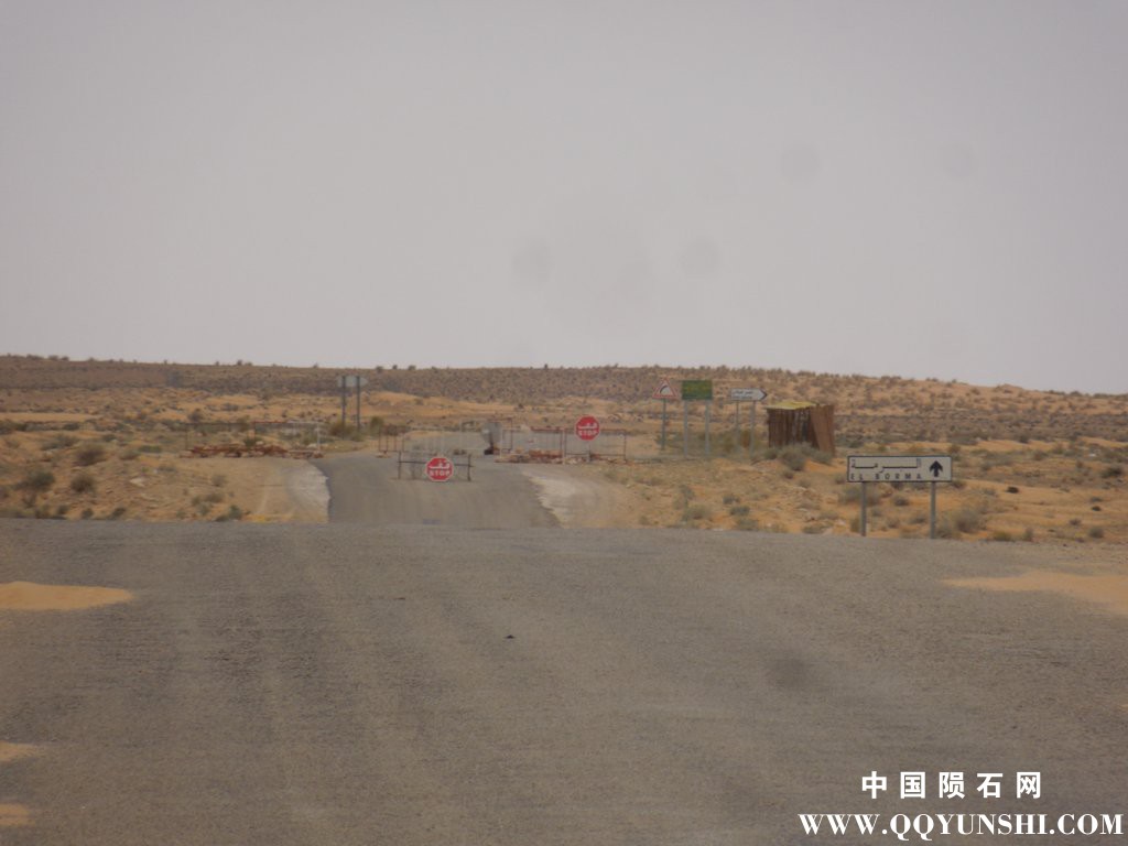 dscn2298.jpg