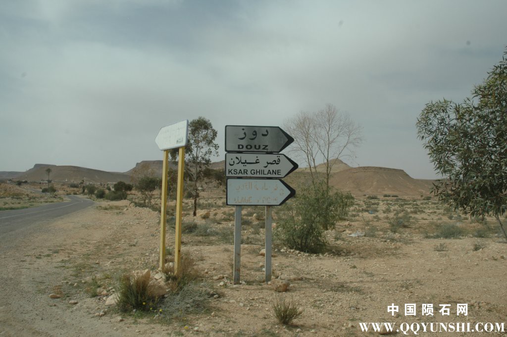 dsc_3721.jpg