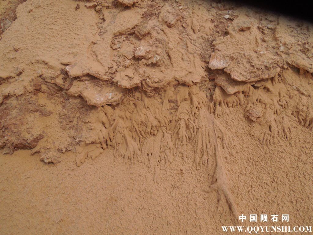dscn2322.jpg