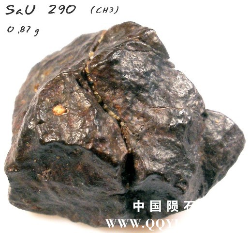32488_3206_223.jpg