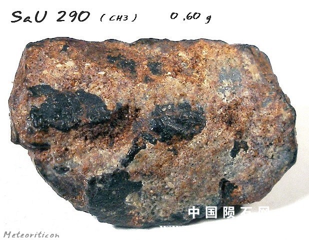32488_3795_223.jpg