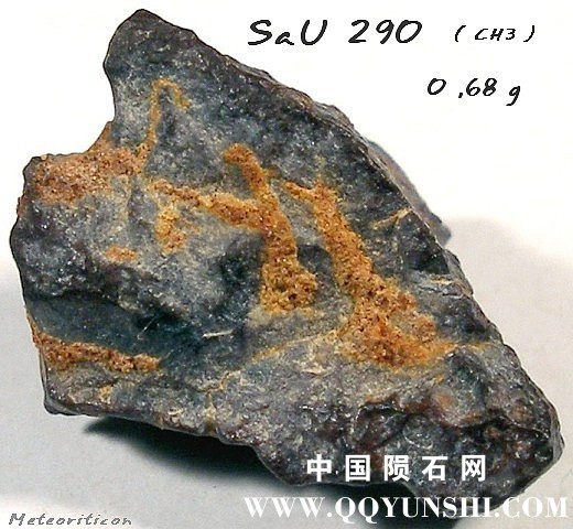 32488_3794_223.jpg