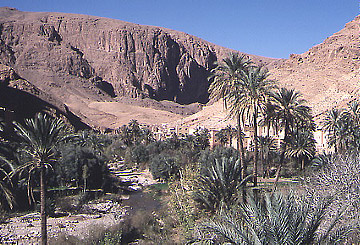 todra1.jpg