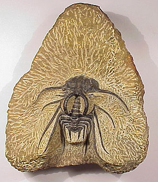 trilobite.JPG