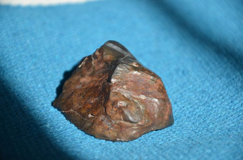DSC_7430_副本.jpg