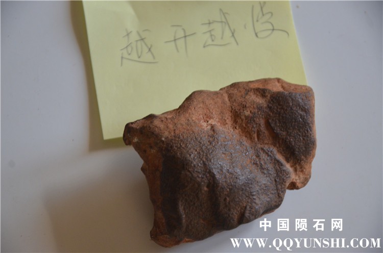 DSC_7453_副本.jpg
