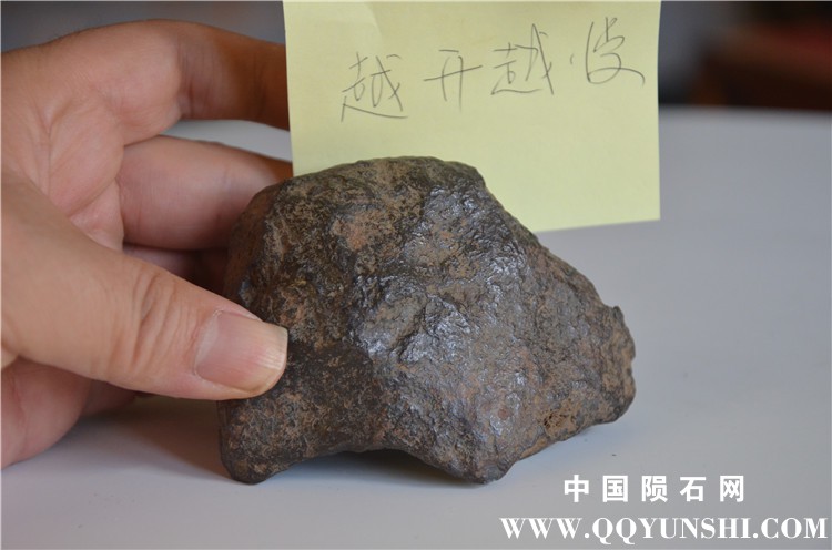 DSC_7464_副本.jpg