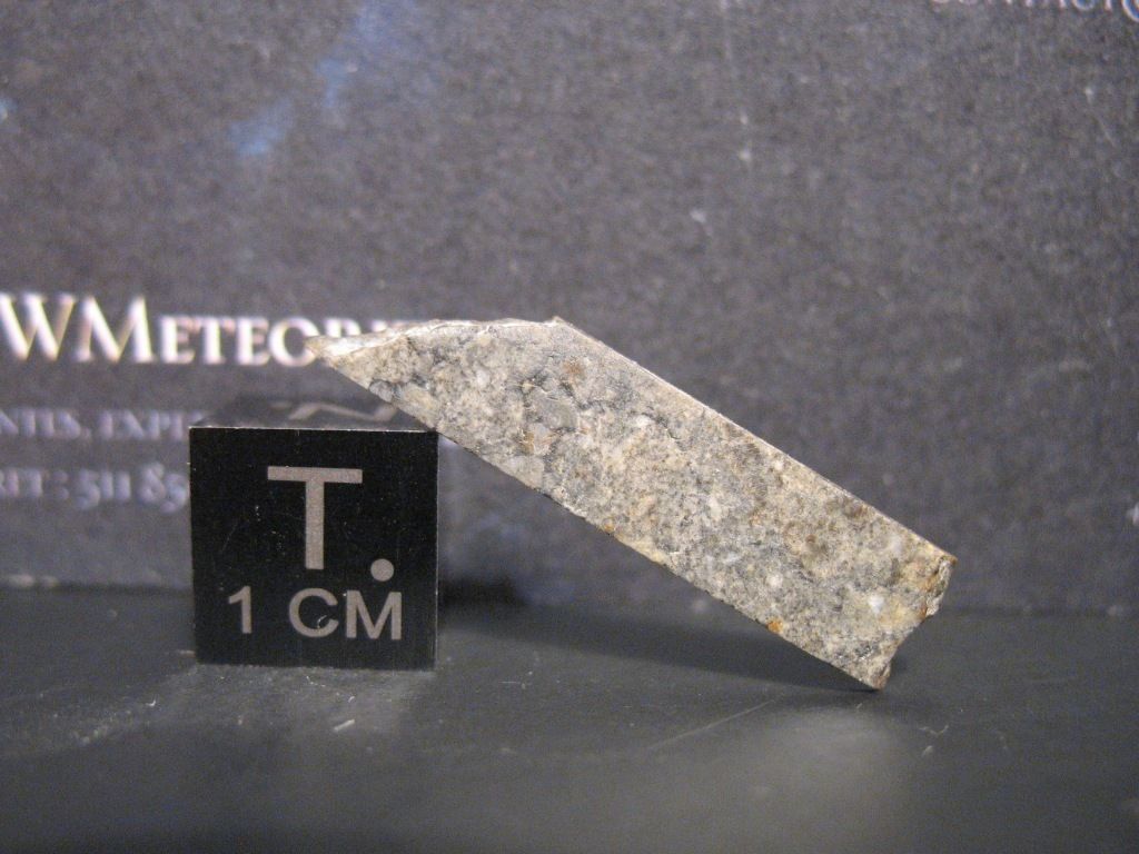 nwa 8455 4.jpg