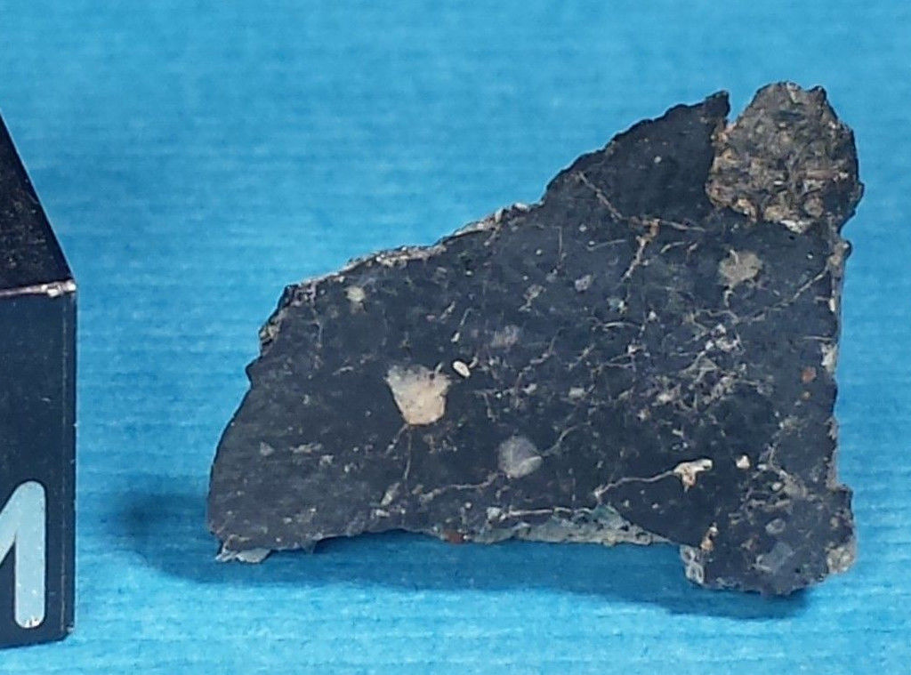 NWA 6355 1.jpg