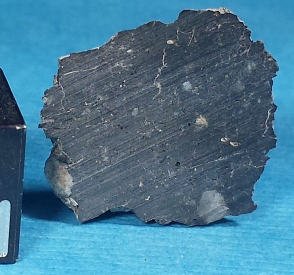 NWA 6355 5.jpg