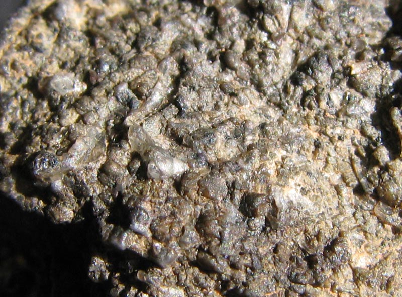 NWA6963 02.jpg