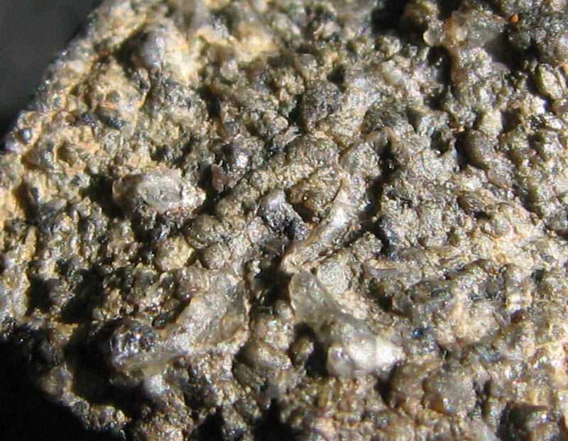NWA6963 03.jpg