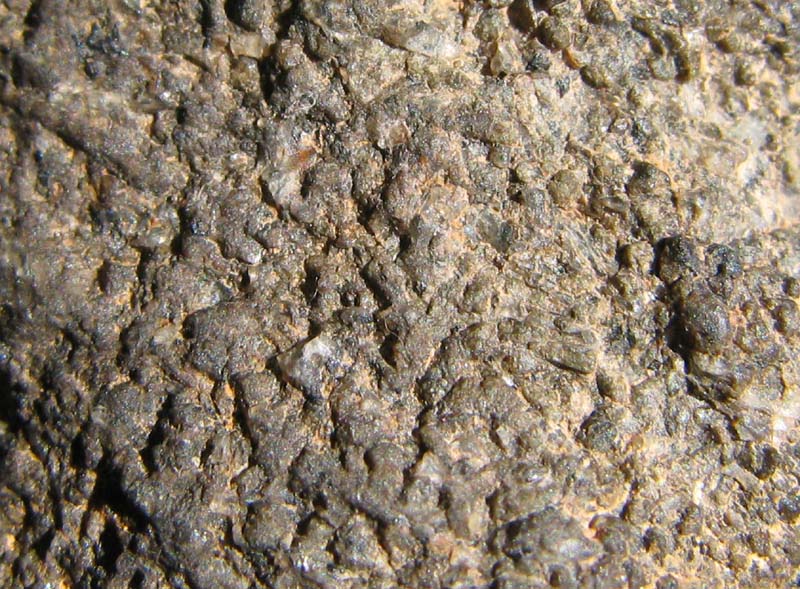 NWA6963 04.jpg