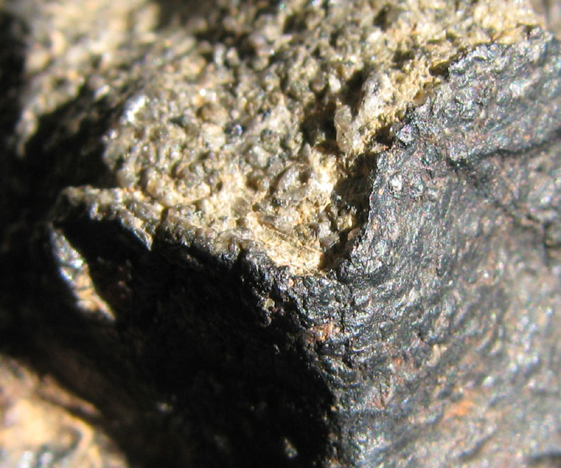 NWA6963 05.jpg