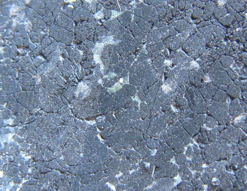 nwa 2737 5.jpg