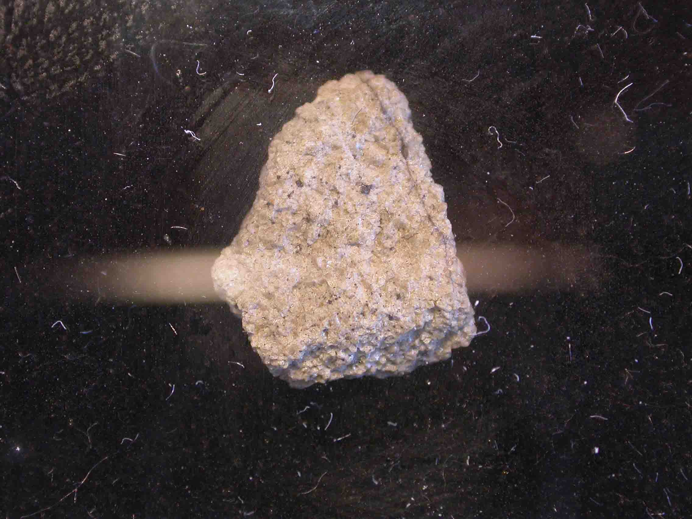 Chassigny  2g ensis2006 Jurgen Nauber Coll DSCN5035.jpg