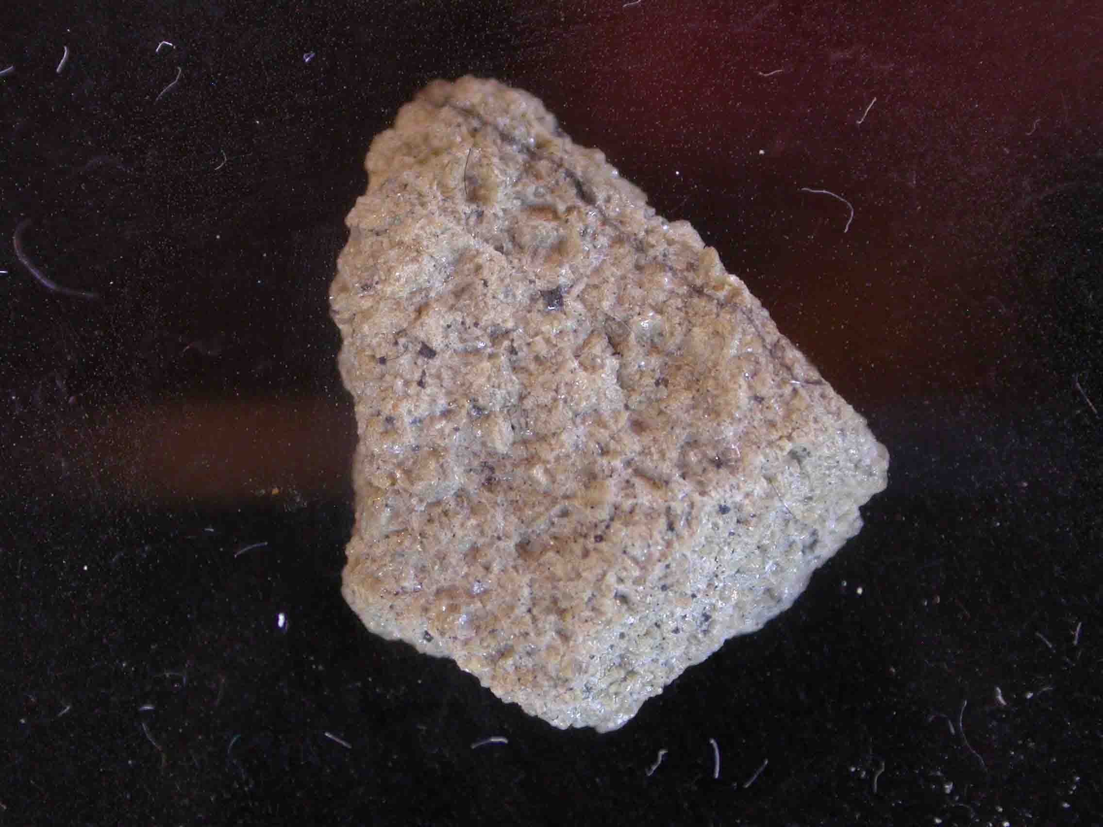 Chassigny  2g ensis2006 Jurgen Nauber Coll DSCN5037.jpg